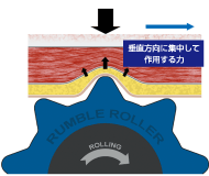 ランブルローラー断面図